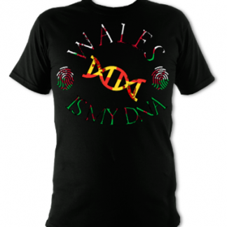 Wales Is My DNA Unisex T-Shirt